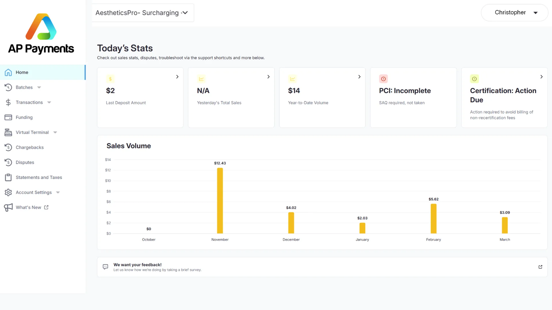 AP Payments dashboard with sales volume reporting in medical spa software